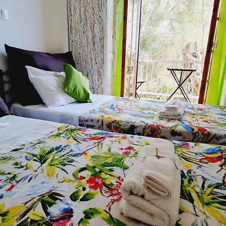 Thomas Art Hotel 佩雷卡斯 外观 照片